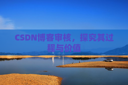 CSDN博客审核，探究其过程与价值